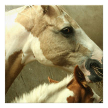 Paint Horse Pair  Invitations