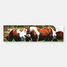 Paint Horses Bumper Stickers