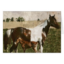 Paint Mare and Foal Card