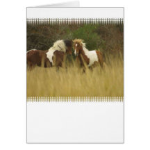 Paint Ponies in Field Greeting Card