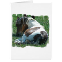 Paint Pony Resting Greeting Card