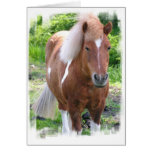 Paint Quarterhorse Greeting Card