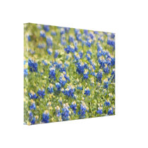 Painted Canvas: Texas Wildflower Bluebonnet Field canvas prints