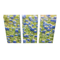 Painted Canvas: Texas Wildflower Bluebonnet Field canvas prints