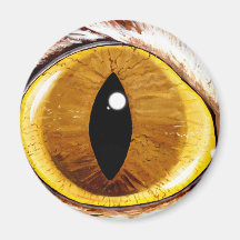 Painted Cat's Eye Fridge Magnets