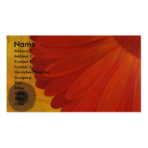 Painted Daisies Business Cards