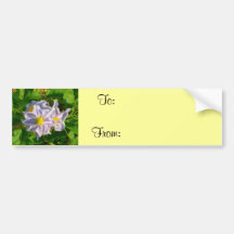 Painted Garden Bumper Stickers
