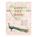Painted Peacock Elegant Pink Damask Save the Date Postcard