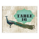 Painted Peacock Table Card Postcard