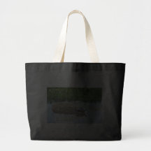 Painted turtle beach bag.