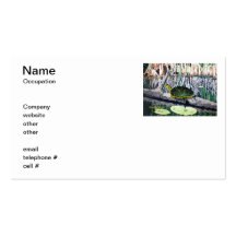 Painted Turtle Business Cards