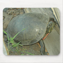 Painted Turtle (Chrysemys picta) Mouse Mats