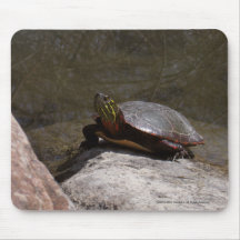 Painted Turtle II Mouse Pads