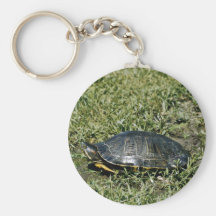 Painted Turtle Key Chain