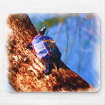 Painted Turtle Mousepad