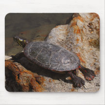 Painted Turtle On Rusty Metal Mouse Pads