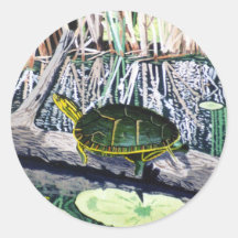 Painted Turtle Sticker
