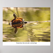 Painted Turtle with Attitude Poster