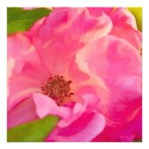 Painterly Abstract Pink Knockout Rose Custom Invites