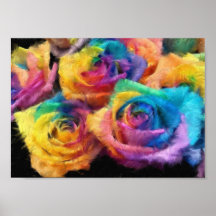 Painting of Rainbow Roses Poster