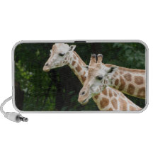 Pair of Giraffes Speakers