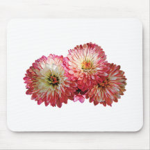 Pale Pink Mums Mouse Pad