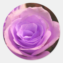 Pale Purple Rose Stickers