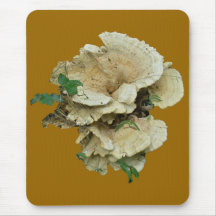 Pale Shelf Fungus Coordinating Items Mouse Pad