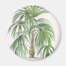 Palm drawings Collection Refrigerator Magnets