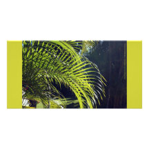 Palm Leaf Frond, Bucerias, Mexico Personalized Photo Card