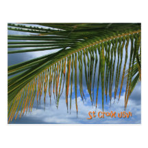Palm Leaf Postcard