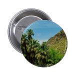 Palm Springs Scene Pinback Button