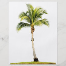 Palm tree flyers