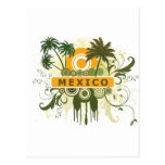 Palm Tree Mexico Postcards