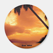 Palm Tree over Water Magnet
