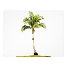 Palm tree personalized invites