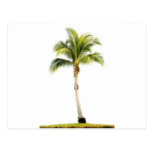 Palm tree postcard