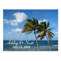 Palm Tree Postcard