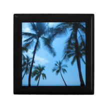 Palm Trees and Blue Skies Jewelry Box