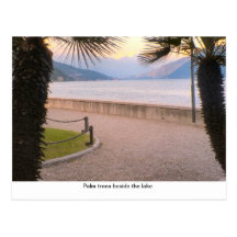 Palm trees beside the lake post card