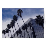 Palm Trees & Office Building Greeting Cards