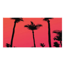 Palm Trees Silhouettes at Sunset Photo Cards