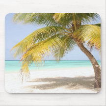 Palme auf den Malediven Mousepads