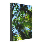 Palms Stretched Canvas Print