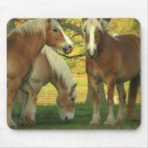 Palomino Draught   Horses Mouse Pad
