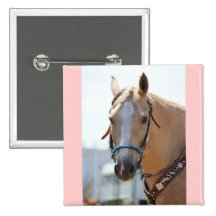 Palomino Pic Pins