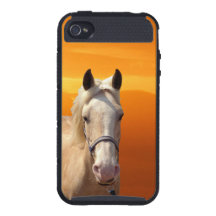 Palomino Sunset Horse Orange Sky Cases For iPhone 4