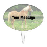 Palomino Walking Away Oval Cake Topper