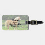Palomino Walking Away Tag For Luggage