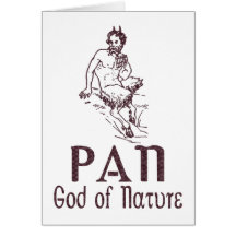 Pan Cards